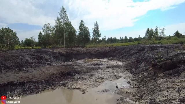 Спасаем рыбу в своём пруду от цапли! Пруд на дачном участке с  рыбой и раками.