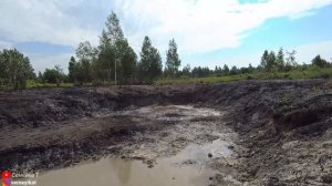 Спасаем рыбу в своём пруду от цапли! Пруд на дачном участке с  рыбой и раками.