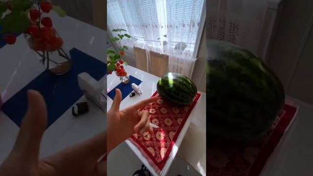 Самый вкусный Арбуз в моей жизни! Фруктоед. Фрукторианство. 16.09.2022 смотреть онлайн