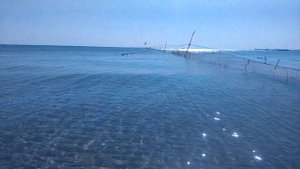 Рыболовные сети на черном море