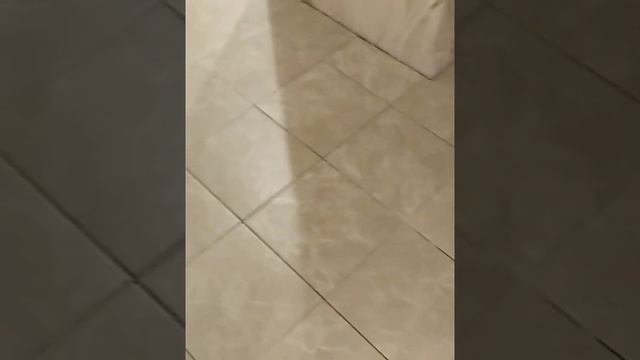 Ремонт в квартире.Москва.Полы на кухне и в прихожей.
