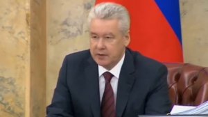 О посадках деревьев во дворах