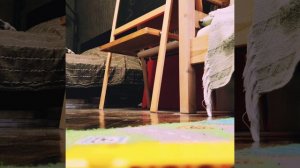 котик и его машина