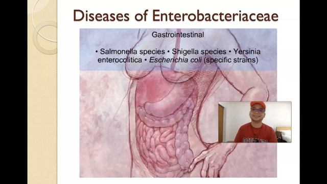 Enterics Part 1 смотреть онлайн