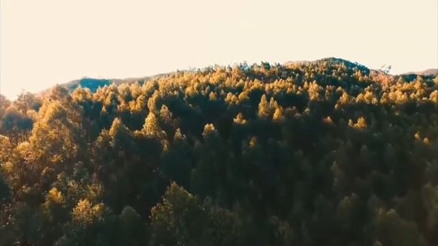 Интересные истории из жизни людей смотреть онлайн