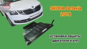SKODA Octavia 2018. Защита двигателя и кпп