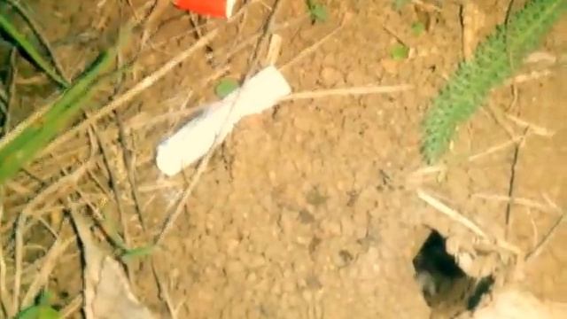 Ловлю паука вечером на пластилин и нитку смотреть онлайн