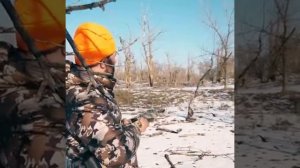 Охота на волка