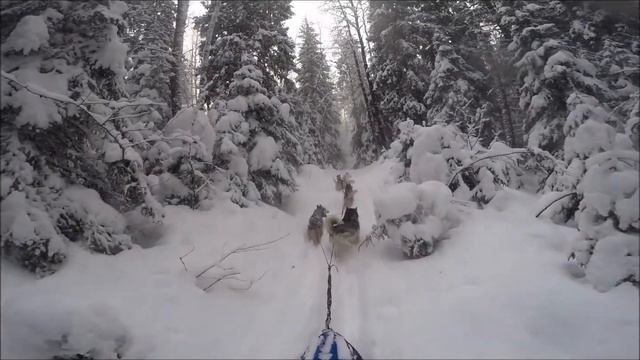 Лемболово 5.02.18