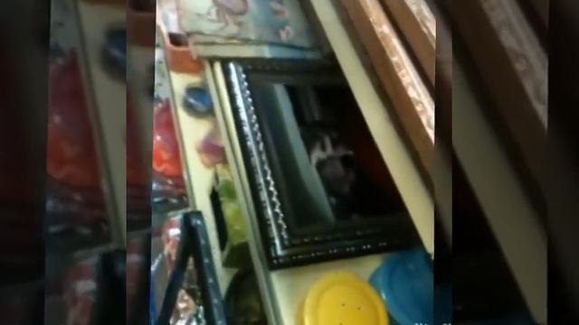 ПопуРРи из  Магазина Фикс Прайс📜📜📜март смотреть онлайн