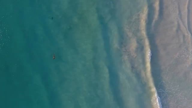 17 января: Поздравляю, Вы Десятка Бубен! смотреть онлайн