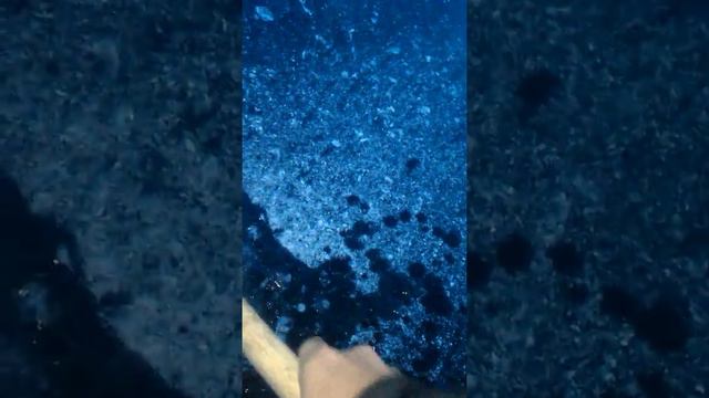 Первый лед Липецк 2018 смотреть онлайн