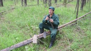Тесак, мачете и вот это