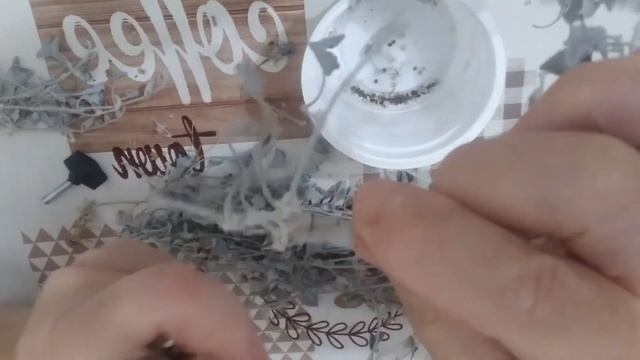 Собираю собственные семена дихондры. смотреть онлайн