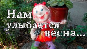 Нам улыбается весна*   Мой сад   Апрель