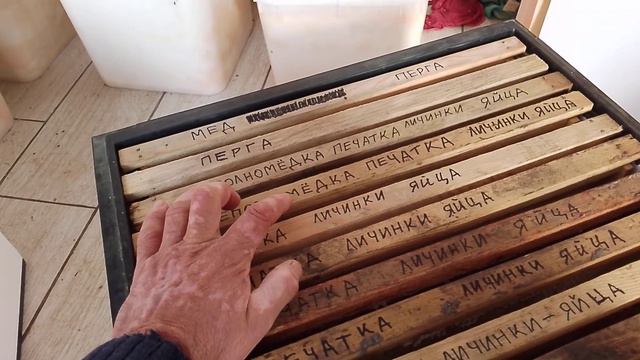 10 марта 2024 г. смотреть онлайн