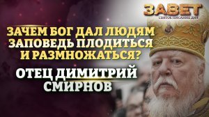 ОТЕЦ ДИМИТРИЙ СМИРНОВ: ЗАЧЕМ БОГ ДАЛ ЛЮДЯМ ЗАПОВЕДЬ ПЛОДИТЬСЯ И РАЗМНОЖАТЬСЯ? ЗАВЕТ