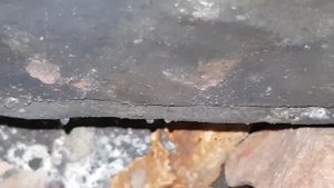 Осмотр банной печи Варвара с баком перед началом дачного сезона