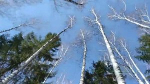 СУПЕР кавер на песню Иванушек ЭТАЖИ