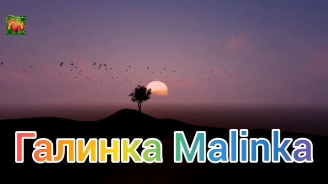 Многомама/Праздник живота или  таможня дает добро /Обзор Влогов /Обзор /