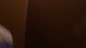 Грузовой лифт V=1 м-с, грузоподъемность 500 кг (2612)