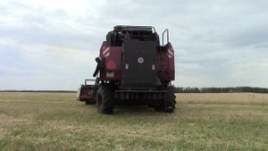 Комбайны VECTOR 410 УБОРОЧНАЯ 2020 село Ташла