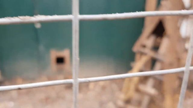 Экскурсия по Эко парку в Харькове смотреть онлайн