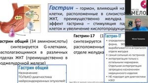 Тихонов С.В. Школа ГастроПанель. Лекция №1. Введение в методику.