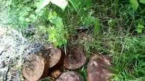 В настоящее время это КЛАД___       Коп металла.