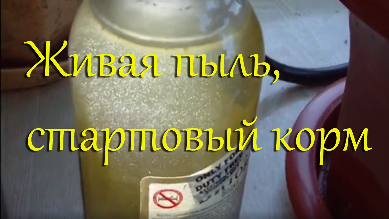 Как кормить мальков инфузорией: разведение, способы забора, очистки, фильтрации и кормление малька