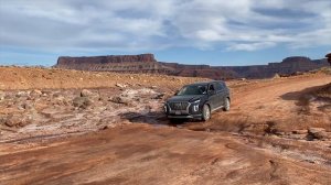 Пол года с Hyundai Palisade 2021. Личный опыт, эмоции эксплуатации.