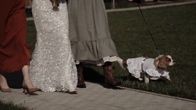 Свадьба в стиле БОХО ✨