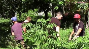 Красноград: Белёвская крепость - 2015