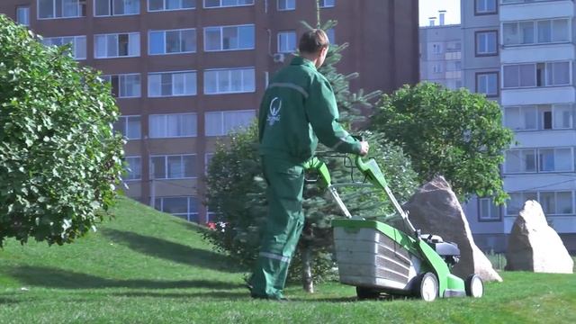 Рулонный газон Зелёного мира в Красноярске.