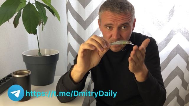 САМЫЙ ЛУЧШИЙ ВОБЛЕР НА СУДАКА ДЛЯ НОВИЧКА | ТЕПЕРЬ ТЫ ТОЧНО ПОЙМАЕШЬ смотреть онлайн