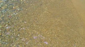 МЮССЕРА. АБХАЗИЯ.