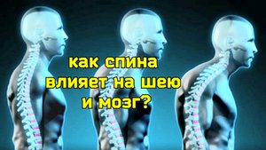 Почему для оживления шеи и мозга необходимо улучшать осанку? Тонкости уникального упражнения