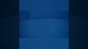 Охота с Р Г на зайца ночью.