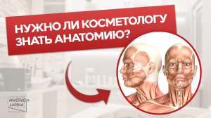 Зачем косметологу знать анатомию? | Анастасия Ларина | Школа косметологии