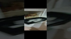 Я, улитка ? и Немо