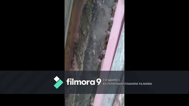 Какие откосы лучше Мастер Андрей смотреть онлайн