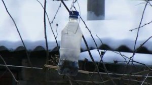 Кормушка для синиц.