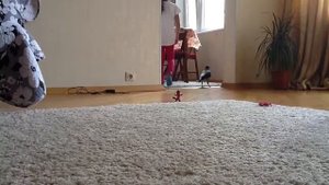 Как мы приручили ворону?
