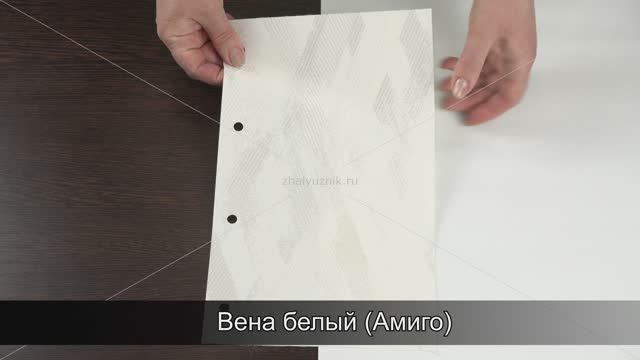 Вена белый (Амиго)