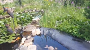 Водоём в саду Марины Ивановой реконструируем, пристраиваем ручей.