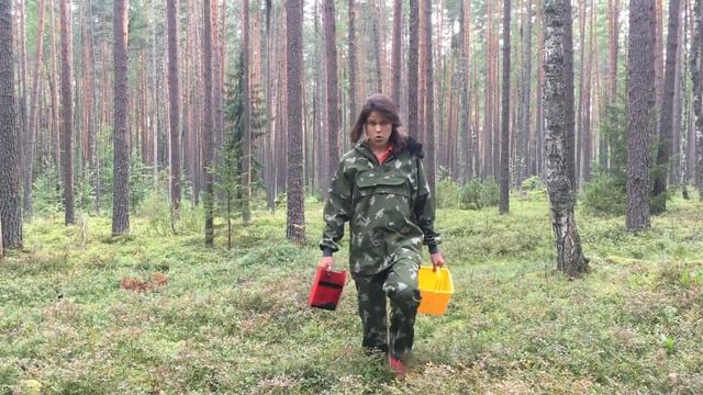 ЛАЙФХАК / 10 литров ЧЕРНИКИ за 5 минут смотреть онлайн