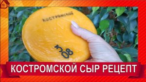 КОСТРОМСКОЙ СЫР: рецепт подробно ☆ Как сделать Костромской сыр в домашних условиях - простой рецепт