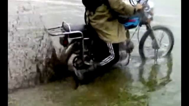 ТРОФИ БОЛОТО ПЕЛЯ смотреть онлайн