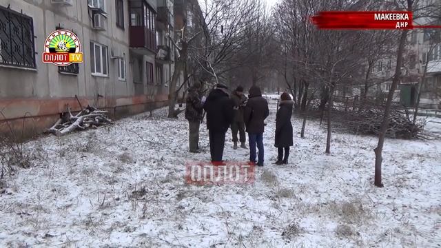 • г.Макеевка, ДНР. Уголовное дело за самовольную вырубку деревьев смотреть онлайн