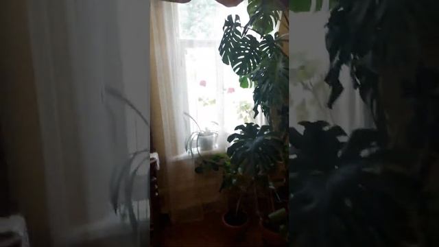 Национальный Музей Республики Башкортостан. смотреть онлайн